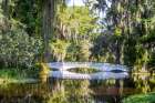 USA- South Carolina- Charleston. Magnolia Plantation Coastal Print